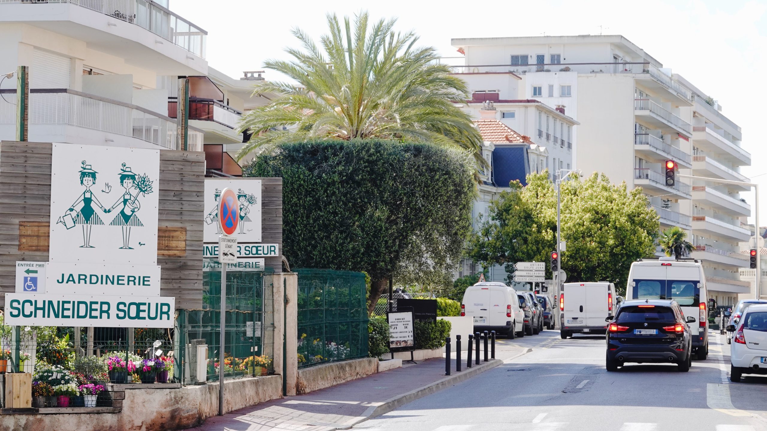 Jardinerie Schneider Soeur à Cannes en ville rue de Russie et Maréchal Juin plantes du printemps